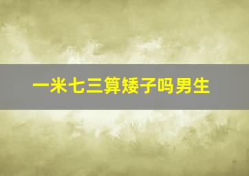 一米七三算矮子吗男生