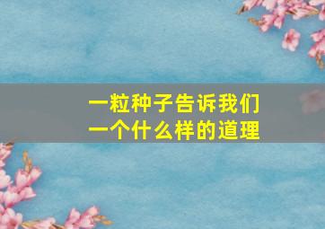 一粒种子告诉我们一个什么样的道理