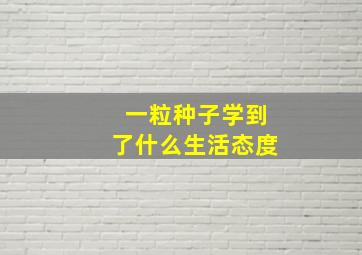 一粒种子学到了什么生活态度