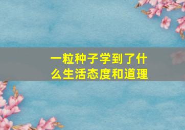 一粒种子学到了什么生活态度和道理