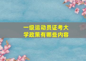 一级运动员证考大学政策有哪些内容