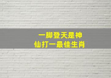 一脚登天是神仙打一最佳生肖