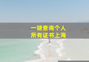 一键查询个人所有证书上海