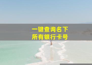 一键查询名下所有银行卡号