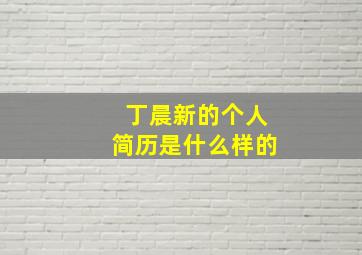 丁晨新的个人简历是什么样的