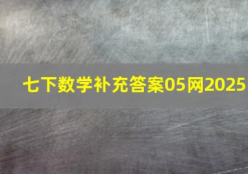 七下数学补充答案05网2025