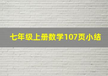 七年级上册数学107页小结