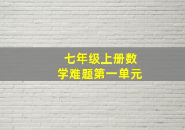 七年级上册数学难题第一单元