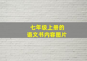 七年级上册的语文书内容图片