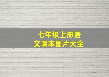 七年级上册语文课本图片大全