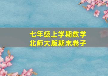 七年级上学期数学北师大版期末卷子