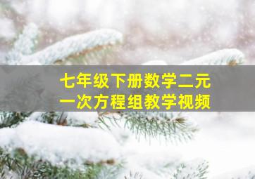 七年级下册数学二元一次方程组教学视频