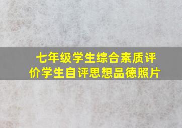 七年级学生综合素质评价学生自评思想品德照片