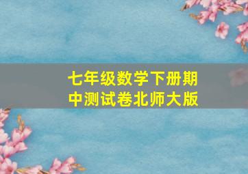 七年级数学下册期中测试卷北师大版