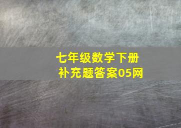 七年级数学下册补充题答案05网