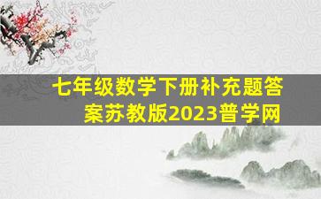 七年级数学下册补充题答案苏教版2023普学网