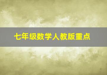 七年级数学人教版重点