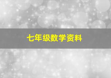 七年级数学资料