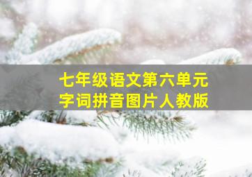 七年级语文第六单元字词拼音图片人教版