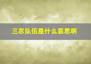 三农队伍是什么意思啊