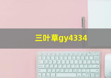 三叶草gy4334