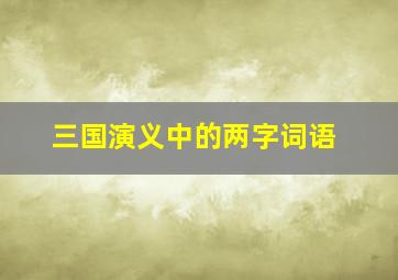 三国演义中的两字词语