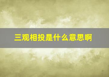 三观相投是什么意思啊