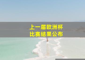 上一届欧洲杯比赛结果公布