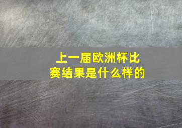 上一届欧洲杯比赛结果是什么样的