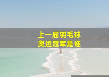 上一届羽毛球奥运冠军是谁