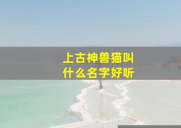 上古神兽猫叫什么名字好听