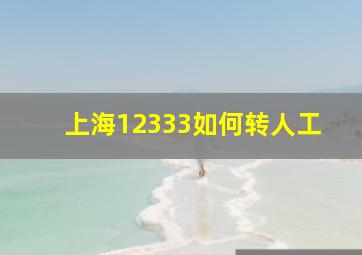 上海12333如何转人工