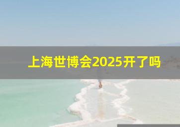 上海世博会2025开了吗