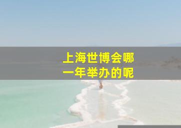 上海世博会哪一年举办的呢