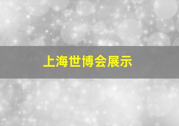 上海世博会展示