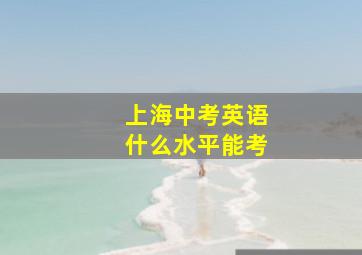 上海中考英语什么水平能考