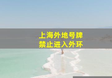 上海外地号牌禁止进入外环