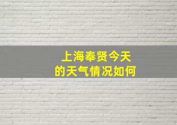 上海奉贤今天的天气情况如何