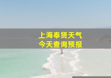 上海奉贤天气今天查询预报