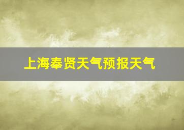 上海奉贤天气预报天气