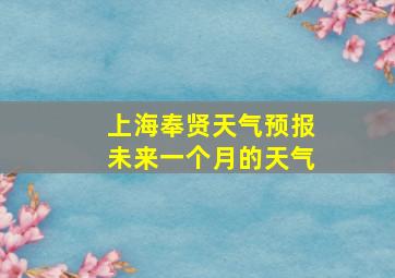 上海奉贤天气预报未来一个月的天气