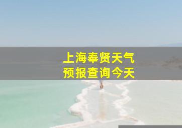 上海奉贤天气预报查询今天