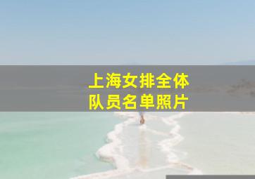 上海女排全体队员名单照片