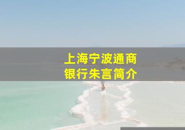 上海宁波通商银行朱言简介