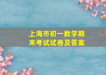 上海市初一数学期末考试试卷及答案