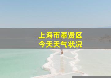 上海市奉贤区今天天气状况