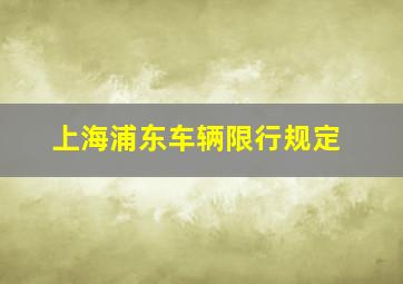 上海浦东车辆限行规定