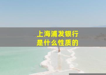 上海浦发银行是什么性质的