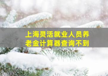 上海灵活就业人员养老金计算器查询不到