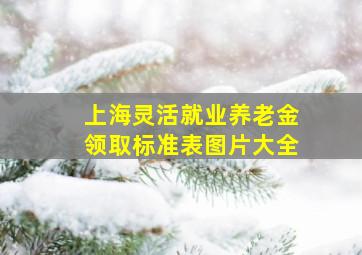 上海灵活就业养老金领取标准表图片大全